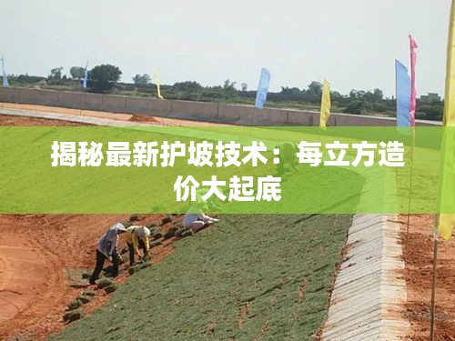 联系方式 第389页
