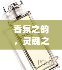 公司介绍 第401页