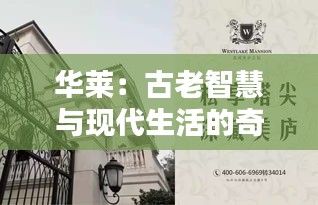 其他配件采购 第390页