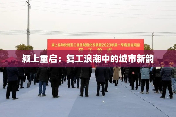 其他配件采购 第388页