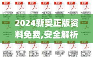 2024新奥正版资料免费,安全解析策略_8DM3.192