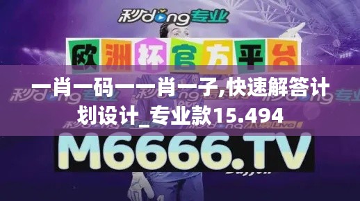 一肖一码一一肖一子,快速解答计划设计_专业款15.494