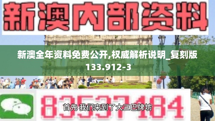 新澳全年资料免费公开,权威解析说明_复刻版133.912-3