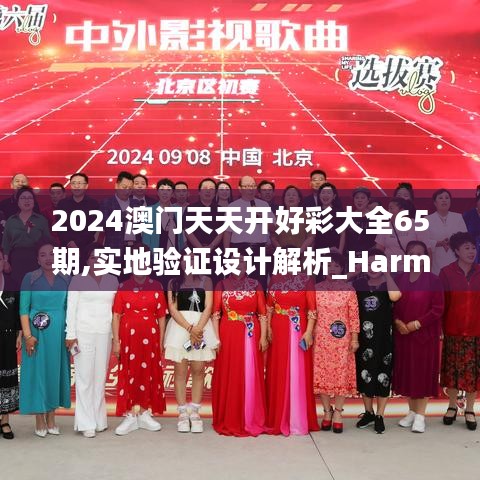 2024澳门天天开好彩大全65期,实地验证设计解析_HarmonyOS51.704-4
