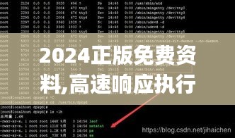 2024正版免费资料,高速响应执行计划_Linux32.552-5