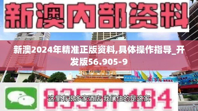 新澳2024年精准正版资料,具体操作指导_开发版56.905-9