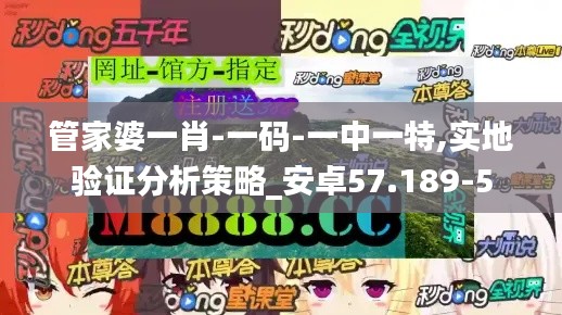 管家婆一肖-一码-一中一特,实地验证分析策略_安卓57.189-5
