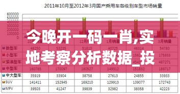 今晚开一码一肖,实地考察分析数据_投资版30.289-8