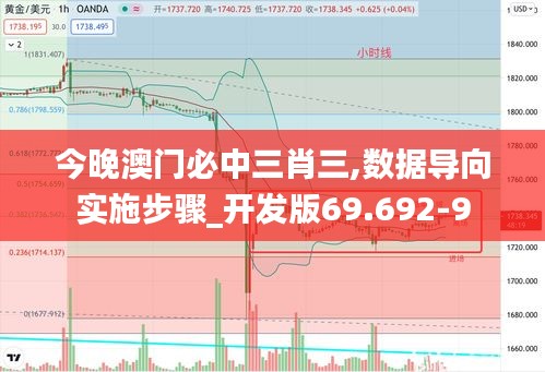 今晚澳门必中三肖三,数据导向实施步骤_开发版69.692-9