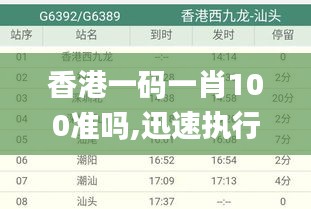 香港一码一肖100准吗,迅速执行计划设计_WP17.739-1