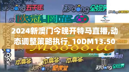 2024新澳门今晚开特马直播,动态调整策略执行_10DM13.504-9