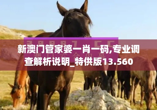 新澳门管家婆一肖一码,专业调查解析说明_特供版13.560