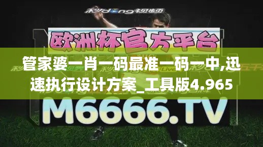 管家婆一肖一码最准一码一中,迅速执行设计方案_工具版4.965