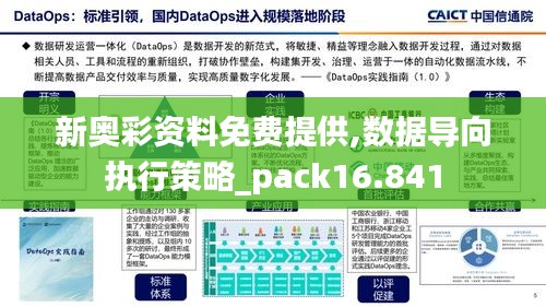 新奥彩资料免费提供,数据导向执行策略_pack16.841