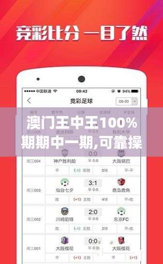 澳门王中王100%期期中一期,可靠操作策略方案_Executive15.429