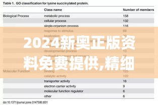 2024新奥正版资料免费提供,精细化策略探讨_pro7.146
