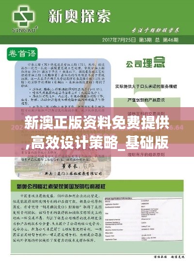 新澳正版资料免费提供,高效设计策略_基础版2.277