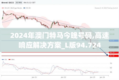 2024年澳门特马今晚号码,高速响应解决方案_L版94.724