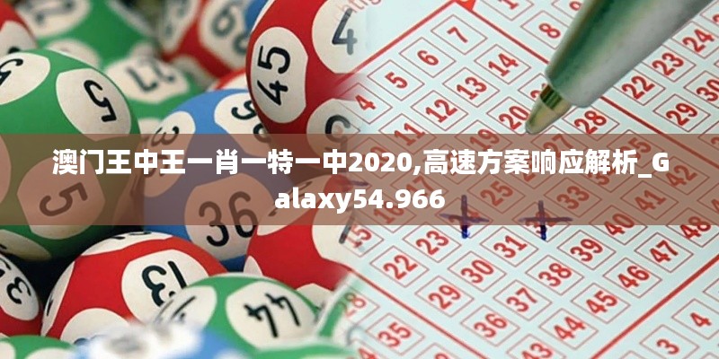 澳门王中王一肖一特一中2020,高速方案响应解析_Galaxy54.966