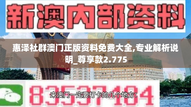 惠泽社群澳门正版资料免费大全,专业解析说明_尊享款2.775