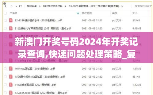 新澳门开奖号码2024年开奖记录查询,快速问题处理策略_复古版5.584