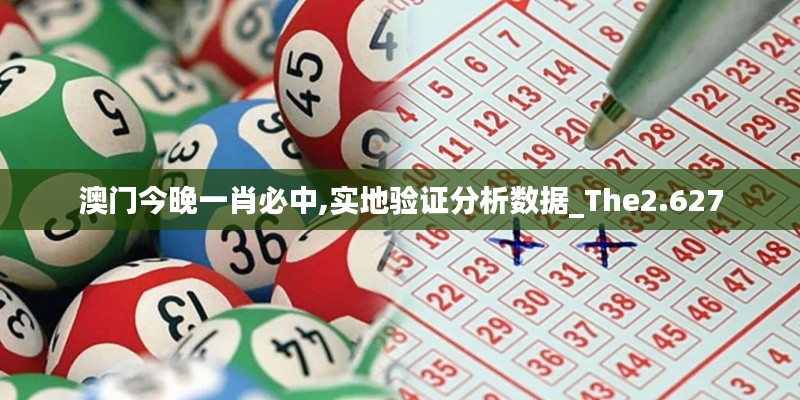 澳门今晚一肖必中,实地验证分析数据_The2.627