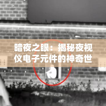 暗夜之眼：揭秘夜视仪电子元件的神奇世界