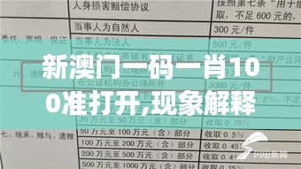新澳门一码一肖100准打开,现象解释管理_冒险版3.783