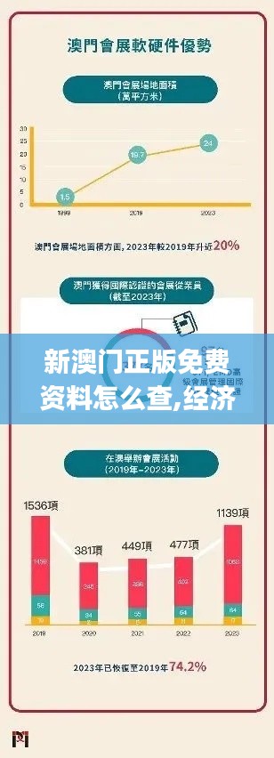 新澳门正版免费资料怎么查,经济执行方案分析_L版8.204