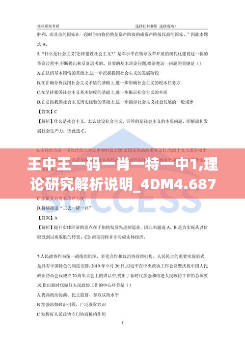 王中王一码一肖一特一中1,理论研究解析说明_4DM4.687