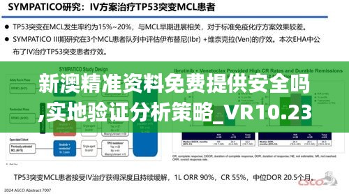 新澳精准资料免费提供安全吗,实地验证分析策略_VR10.230