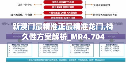 新澳门最精准正最精准龙门,持久性方案解析_MR4.704