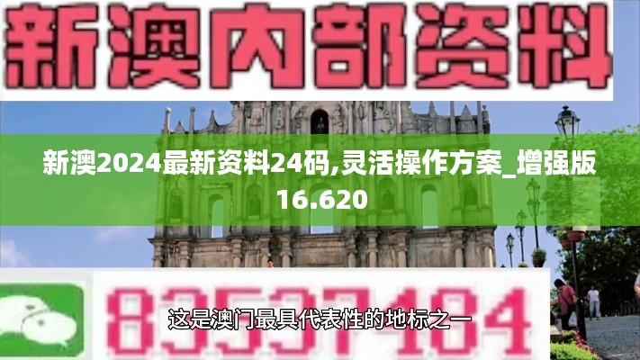 新澳2024最新资料24码,灵活操作方案_增强版16.620
