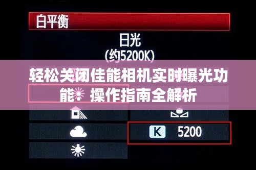 拾金不昧 第3页