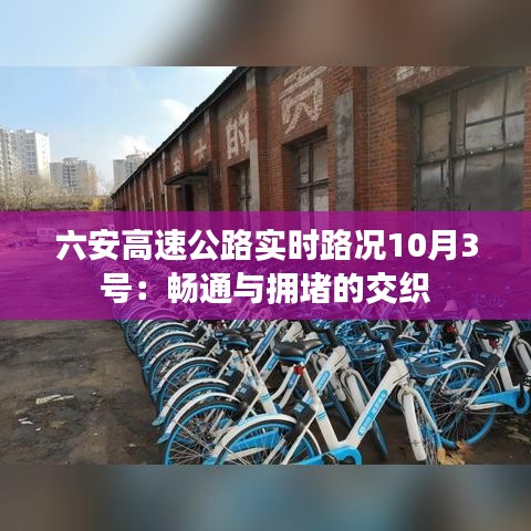 贵农贱商 第3页