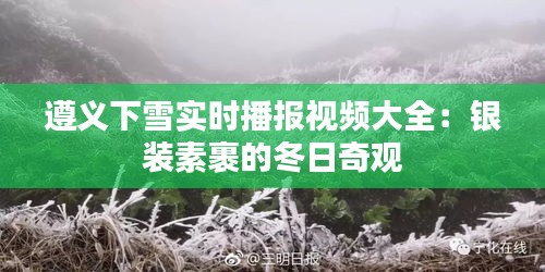 遵义下雪实时播报视频大全：银装素裹的冬日奇观