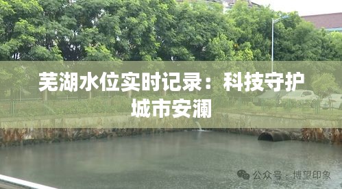 东张西望 第3页