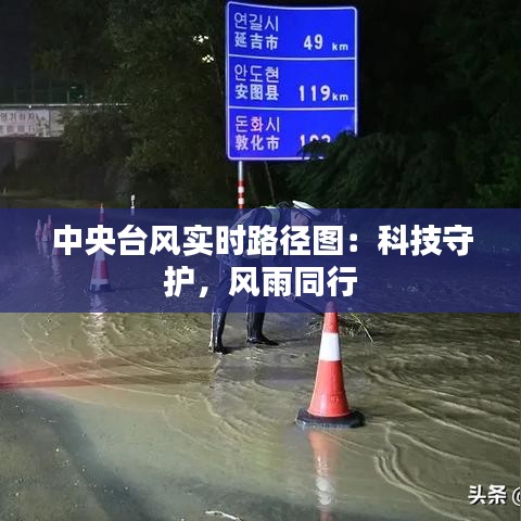 惊弓之鸟 第3页