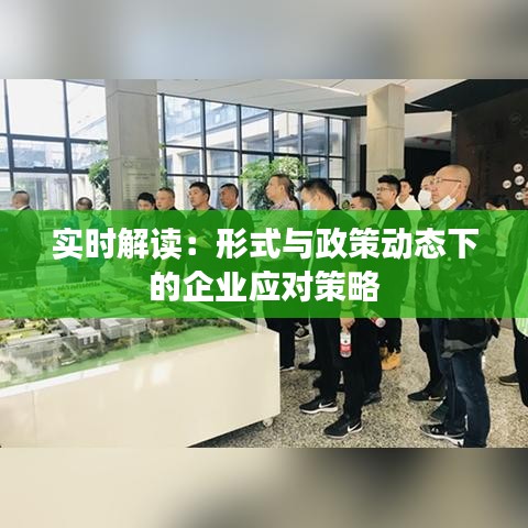 实时解读：形式与政策动态下的企业应对策略