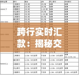 跨行实时汇款：揭秘交易速度与效率