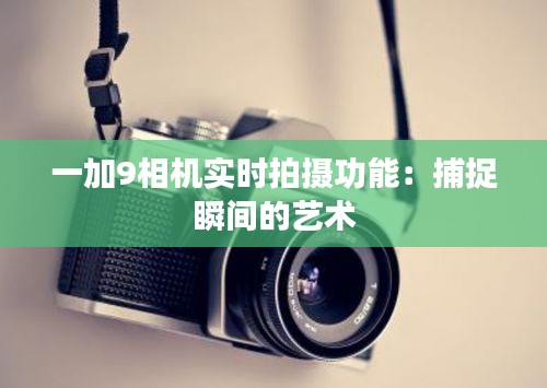 接连不断 第3页