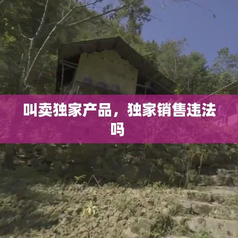 不知不觉 第2页