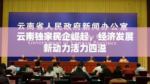云南独家民企崛起，经济发展新动力活力四溢