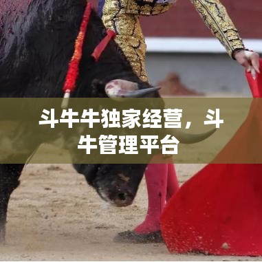 斗牛牛独家经营，斗牛管理平台 