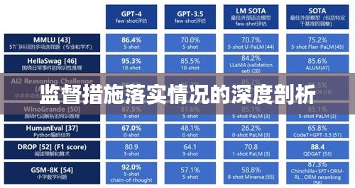 监督措施落实情况的深度剖析