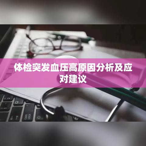 洵属可贵 第2页