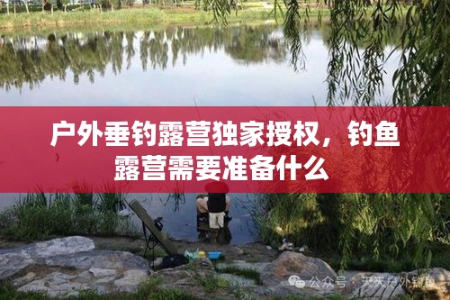云龙井蛙 第2页