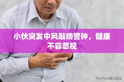 展翅高飞 第2页