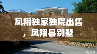 衣不重采 第2页