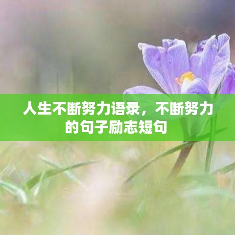 人生不断努力语录，不断努力的句子励志短句 